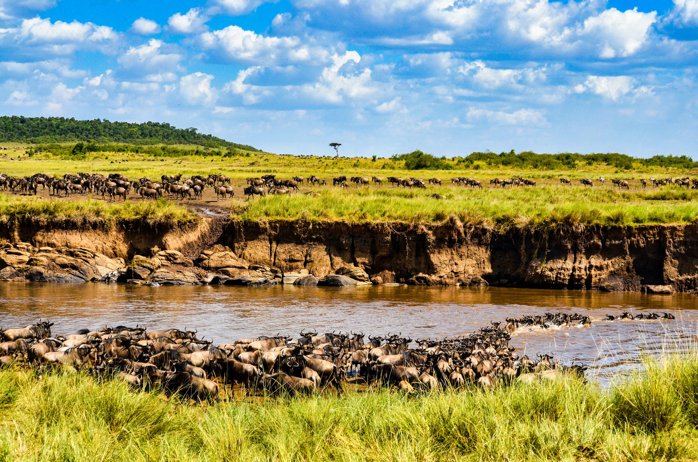 Serengeti National Park