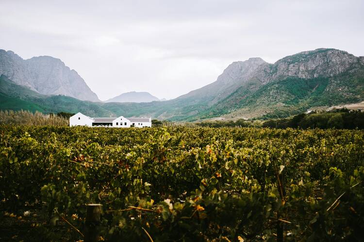 franschhoek