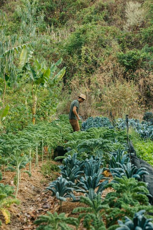 Costa Rica Sustainabilty