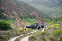 Gondwana Game Reserve