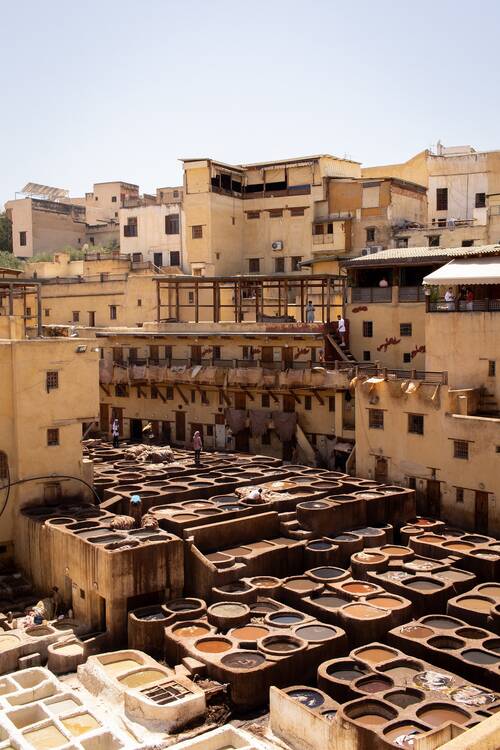 Fez