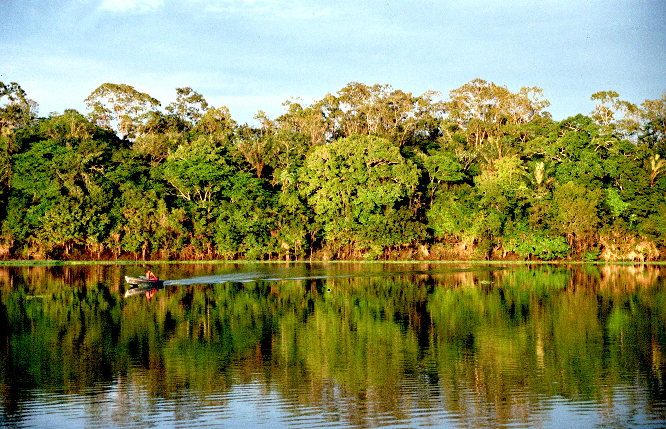 Amazonia Boat