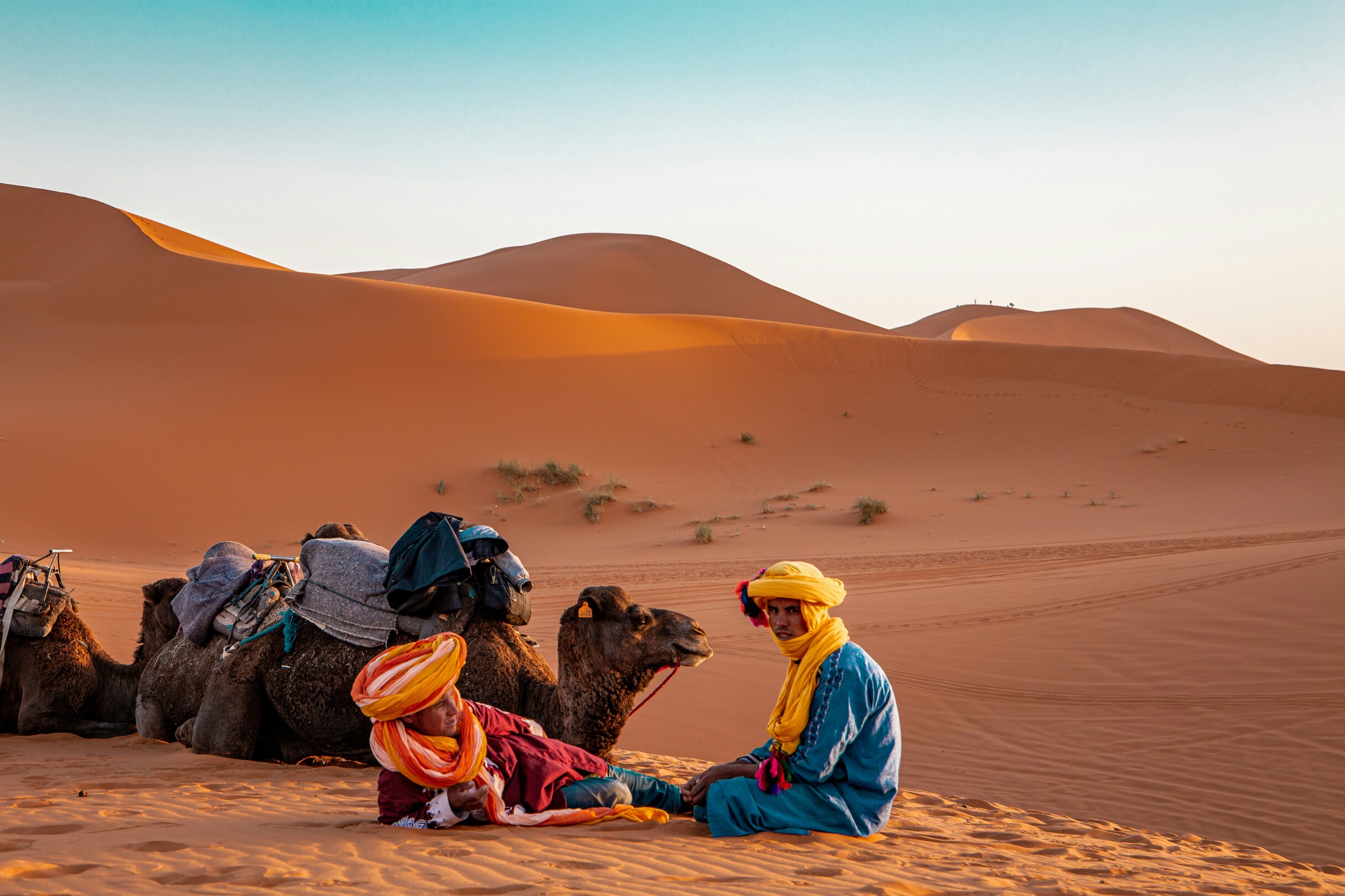 Berber Desert Sahara Morocco feature