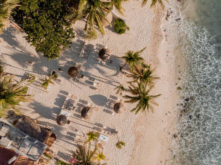 Petit Lafitte Hotel  