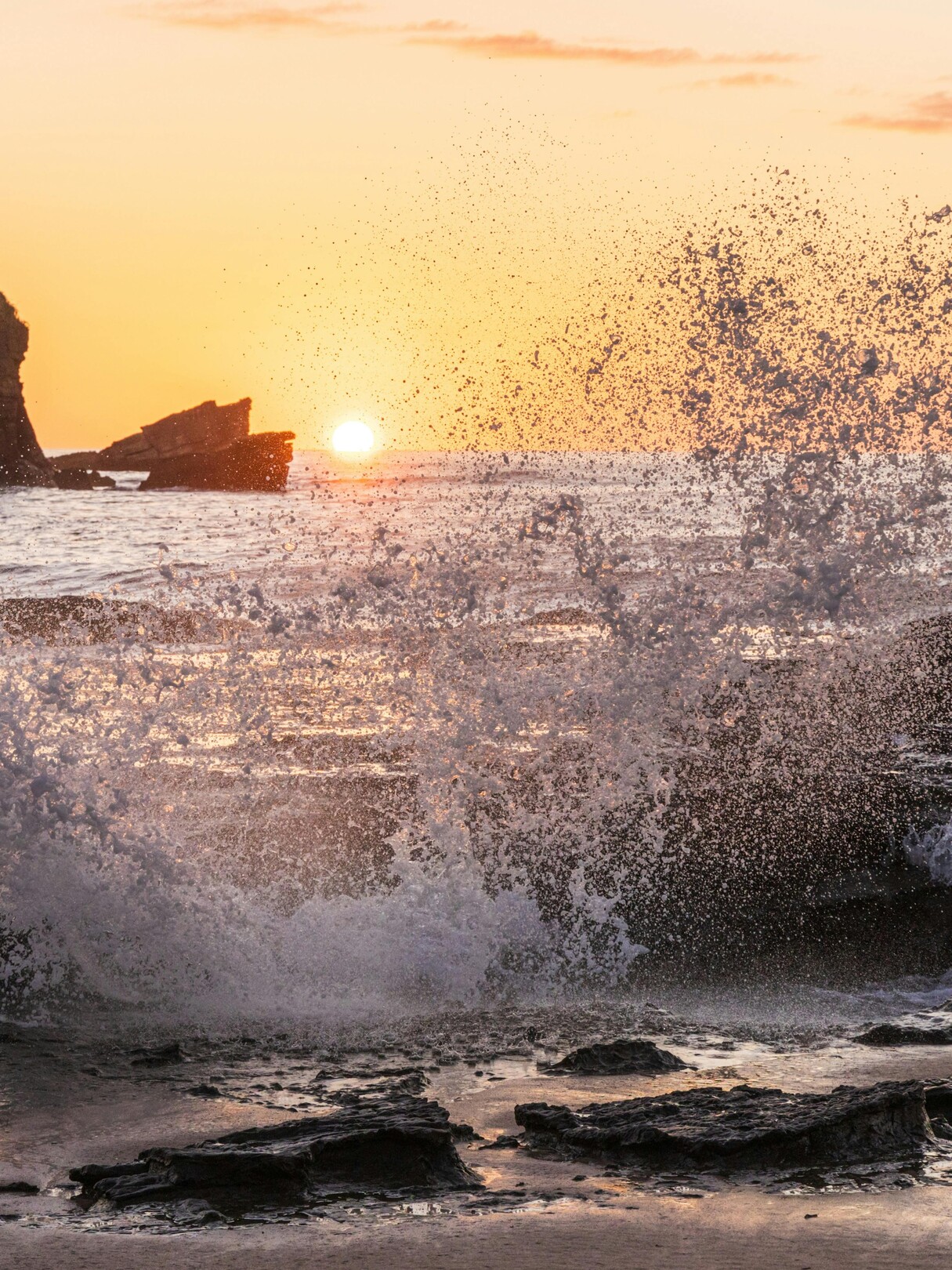 Tamarindo wave - featured