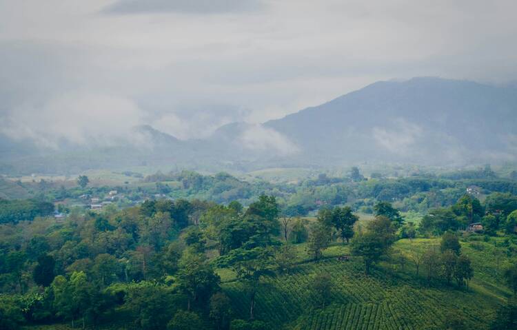 Chiang Rai