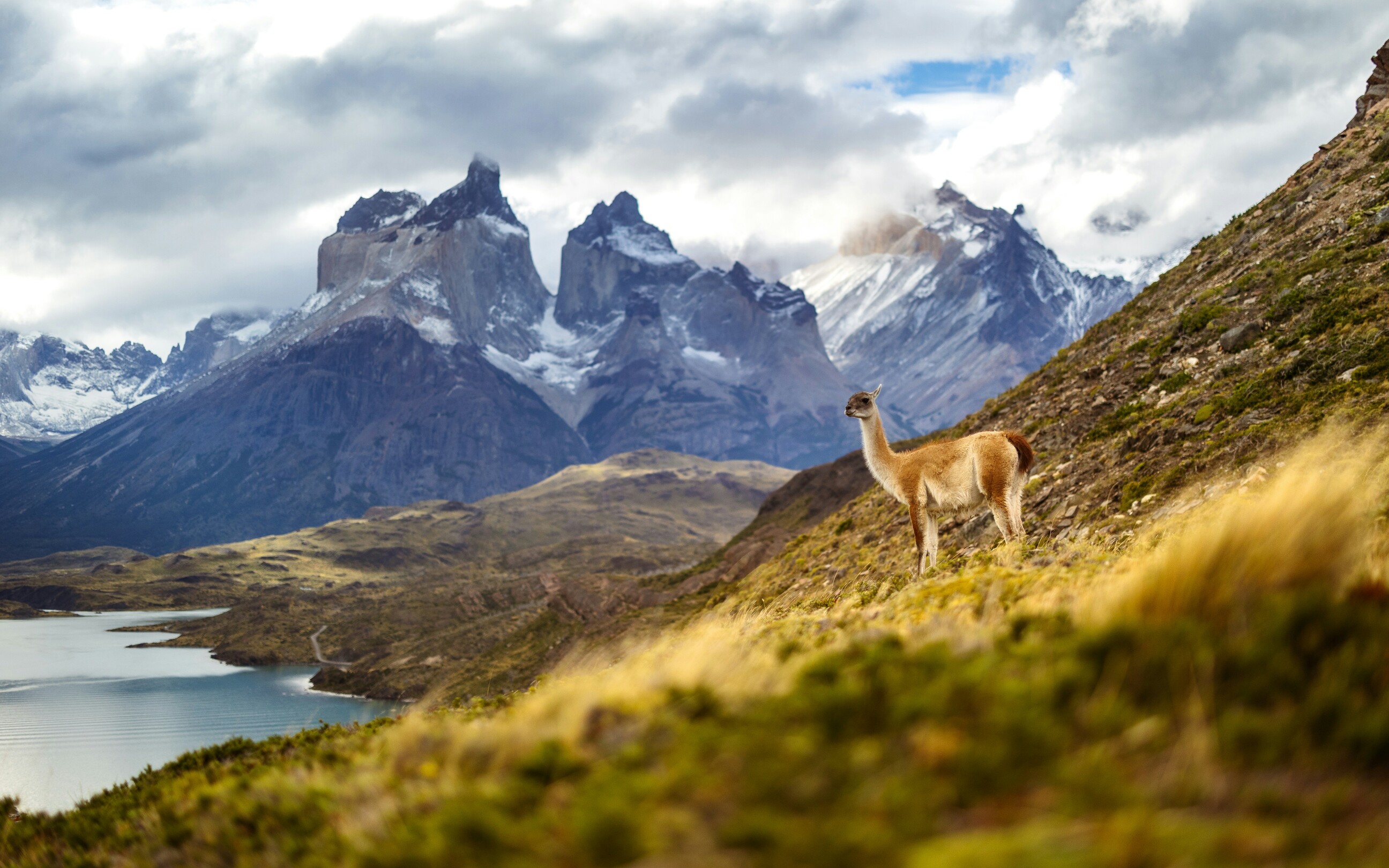 Torres del Paine, Patagonia
