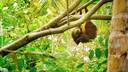 Cahuita National Park 