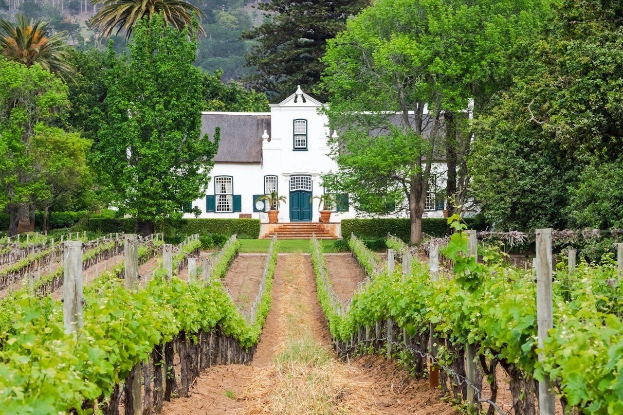 Cape Winelands