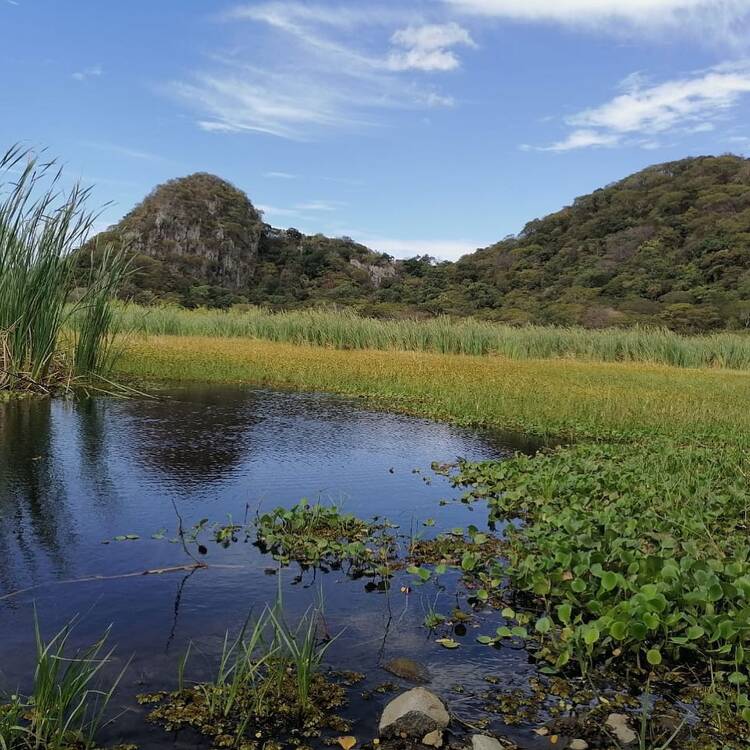 Parque-Nacional-Palo-Verde
