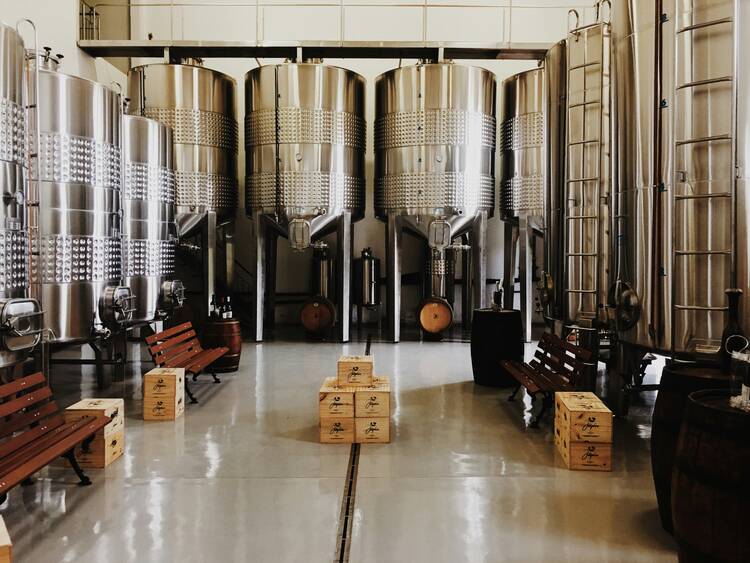 Craft beer tour