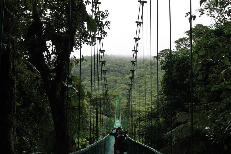 Zip-line and hanging bridges excursion