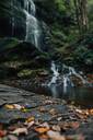 Catawba Falls Trail