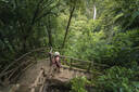 La Fortuna Waterfall