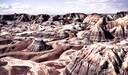 Painted Desert