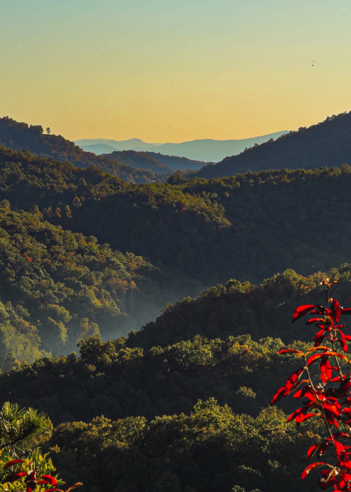 Asheville, NC