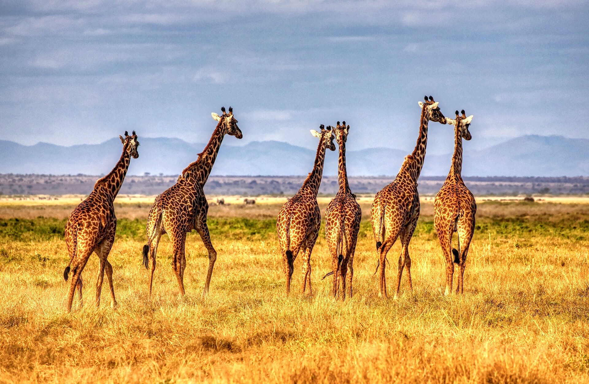 Kenya