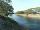 Tempisque River