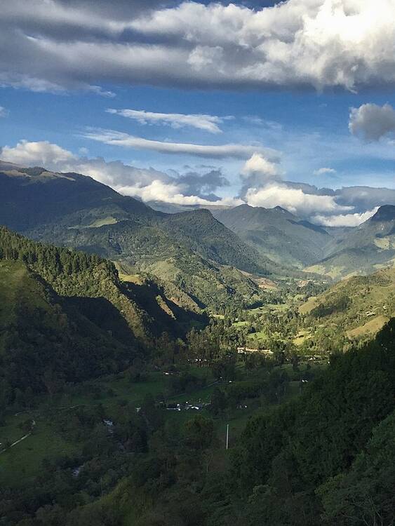 Cocora