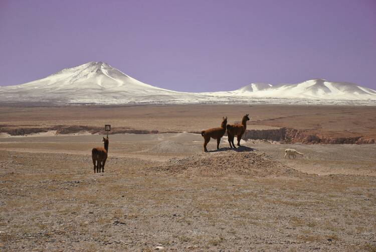 San Pedro de Atacama