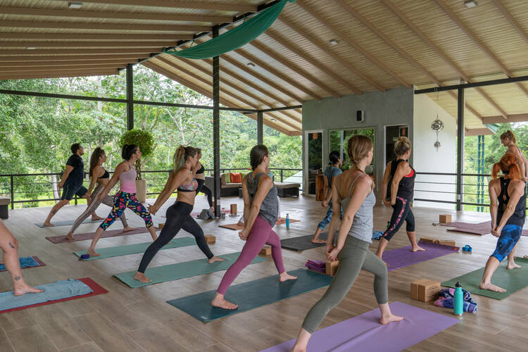 Synergy Yoga Group