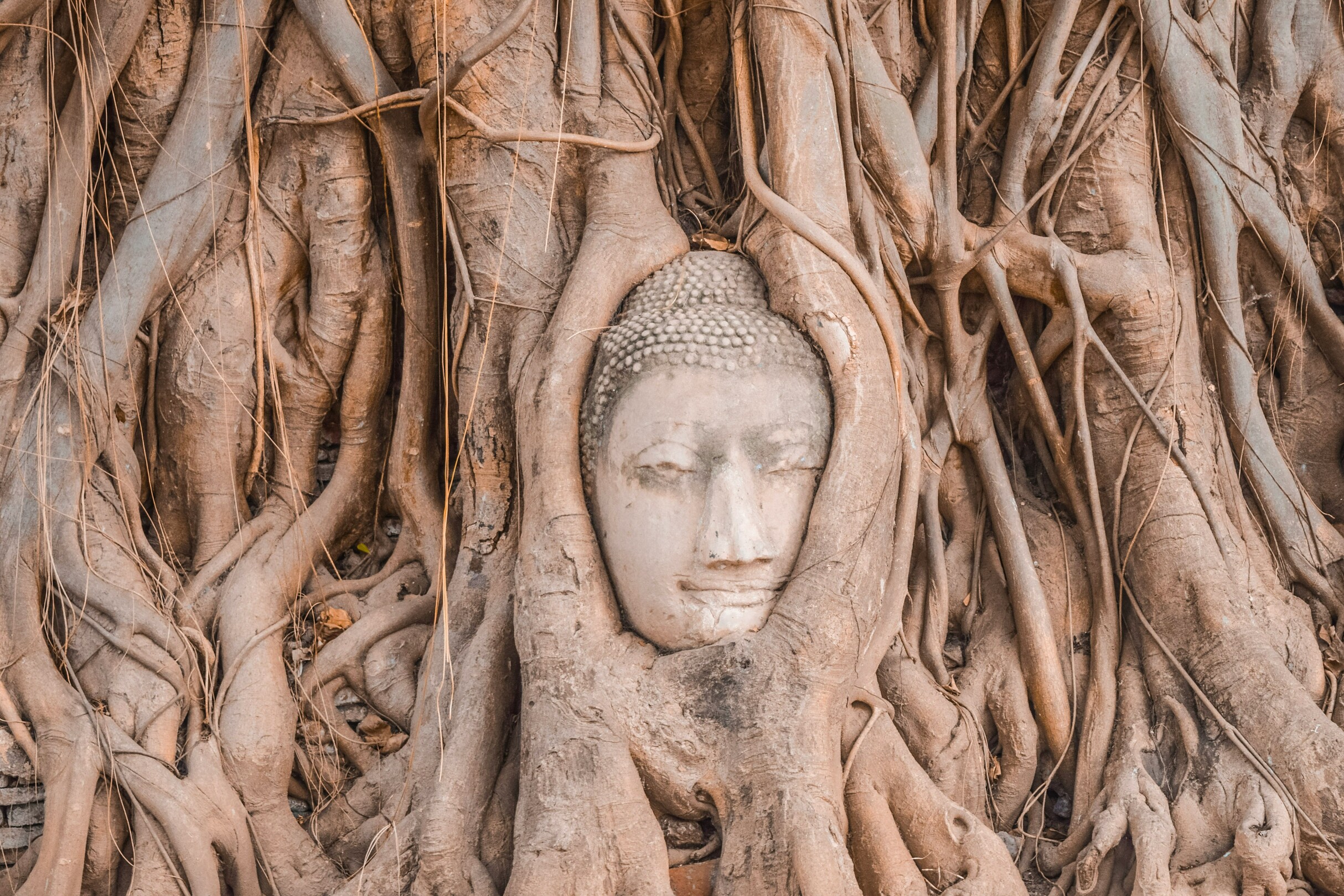 Wat Maha That face - featured