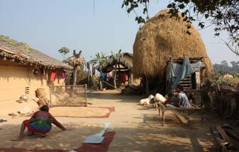 Tharu Village 