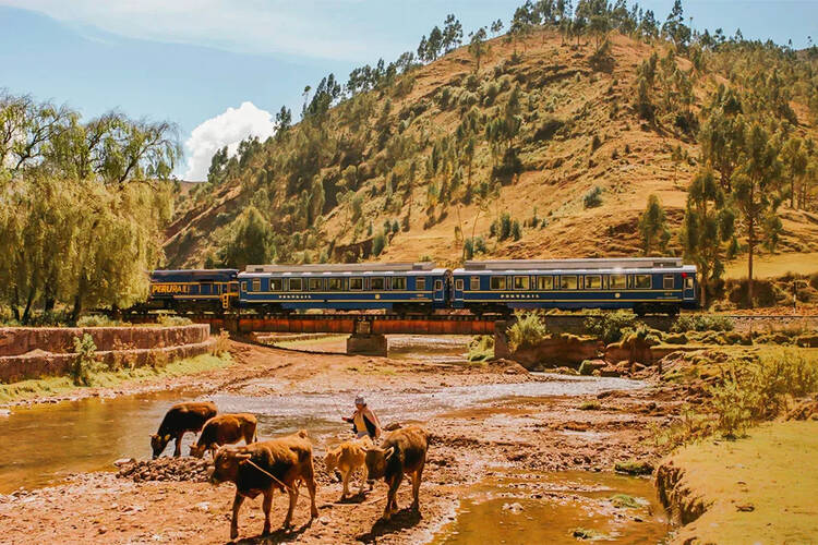 Vistadome PeruRail