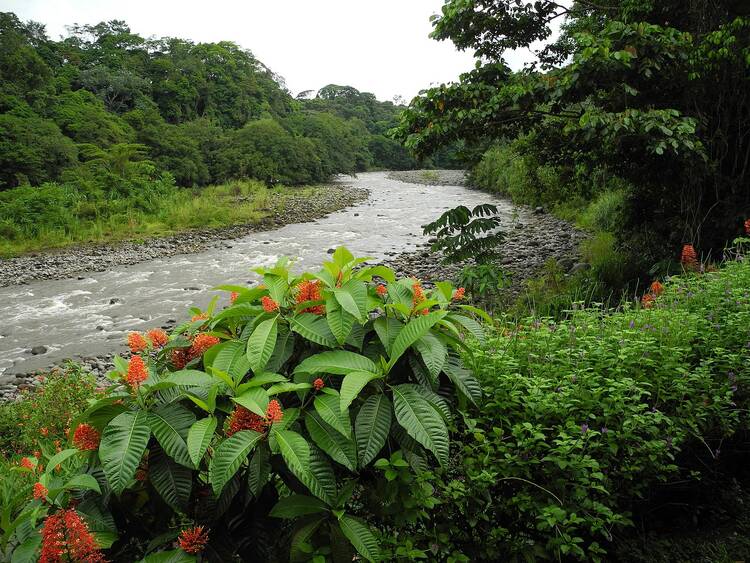 Sarapiquí