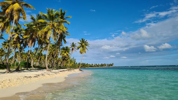 Saona Island