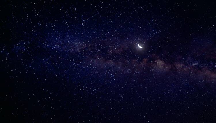 Bosque del Cabo Stars
