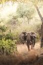 Lake Manyara National Park