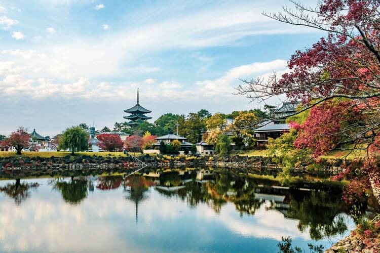 Nara Park