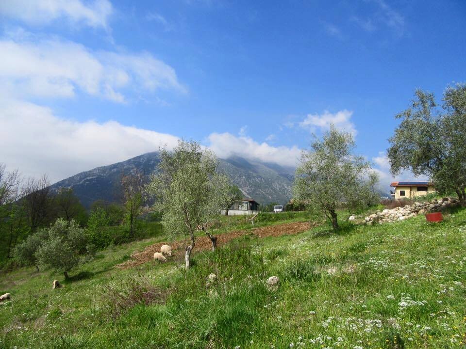 Yoga Farm Italy