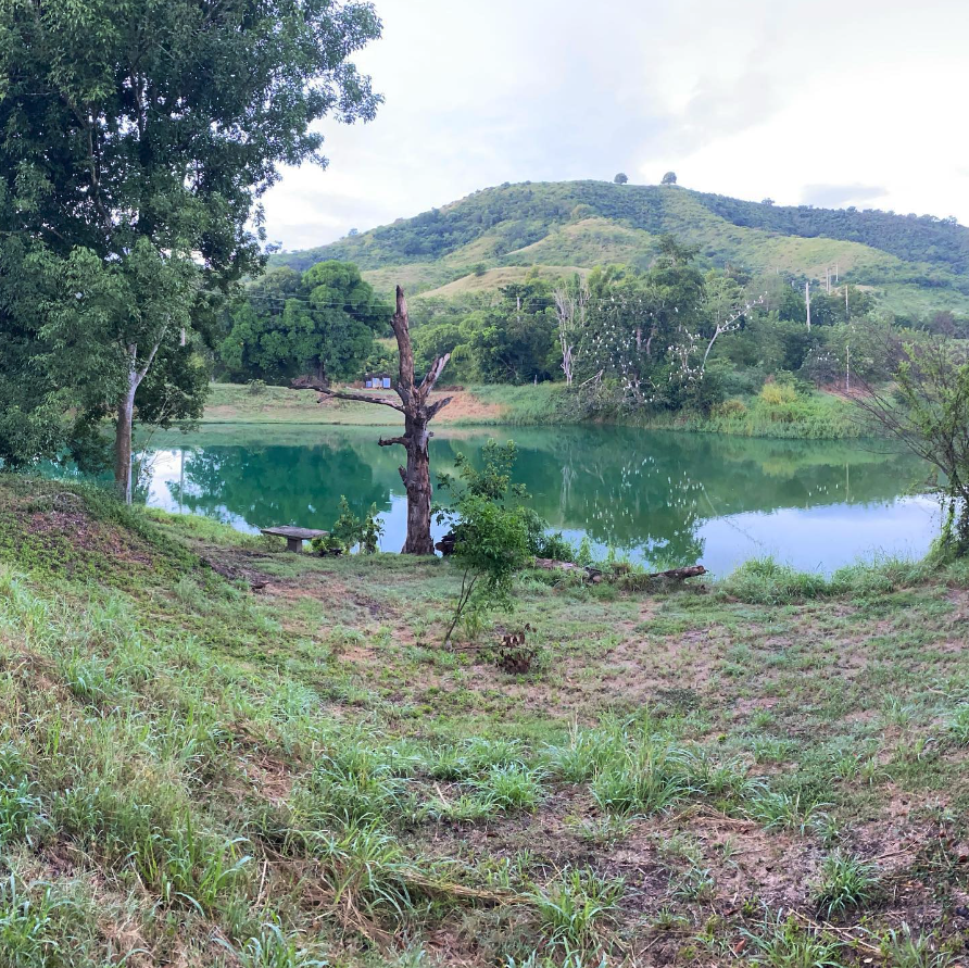 Los Tamarindos Village campground