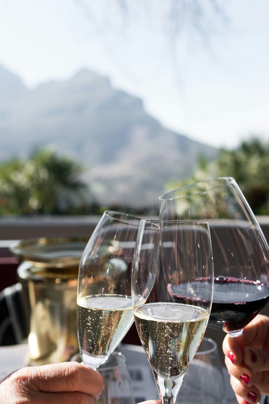 Cape Winelands wine