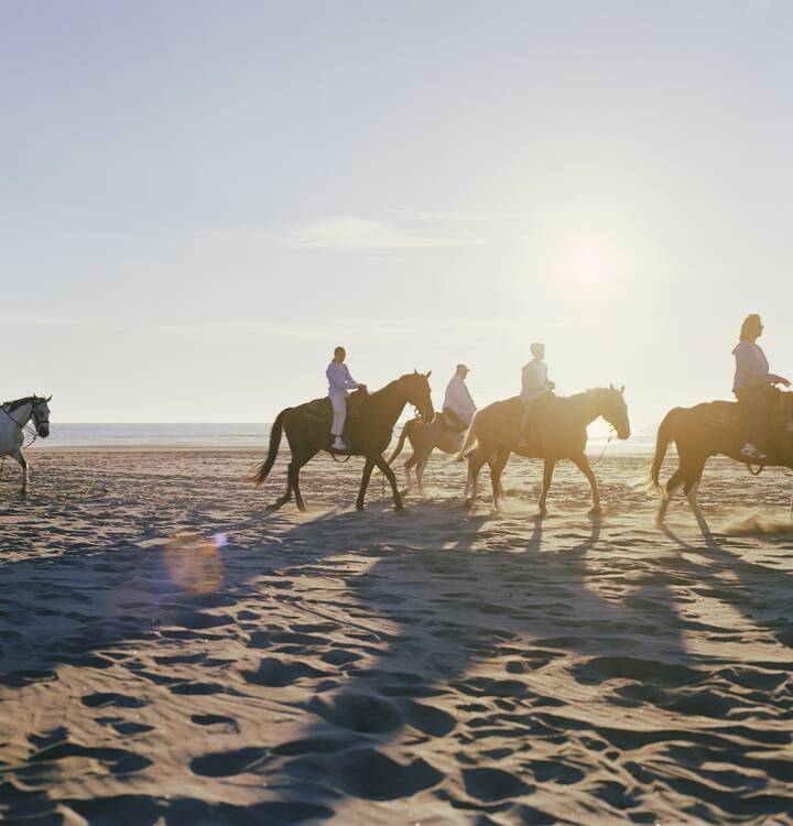 Beach horseback riding