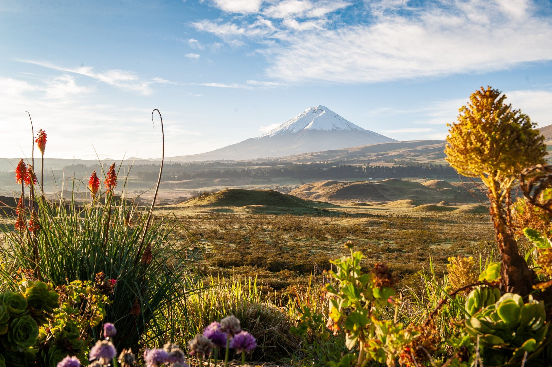 Ecuador