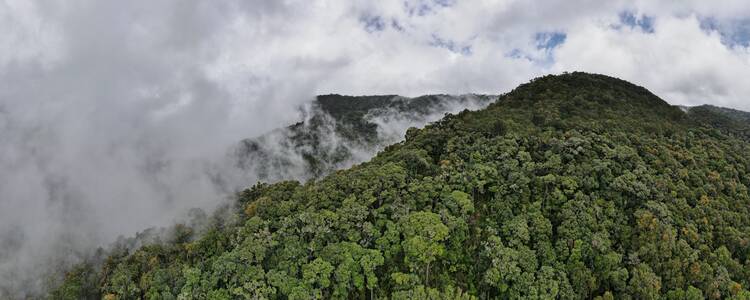 San Gerardo de Dota, Costa Rica