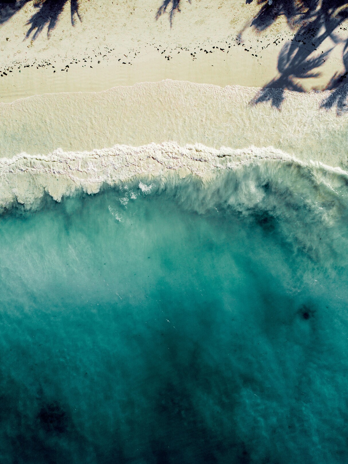 Zanzibar Beach