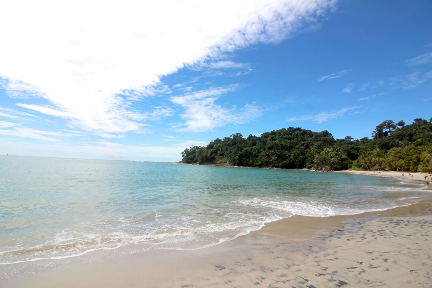 Manuel Antonio Beach