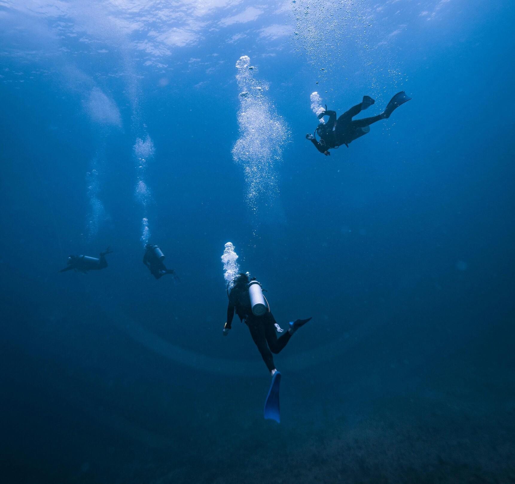 Mexico scuba - featured