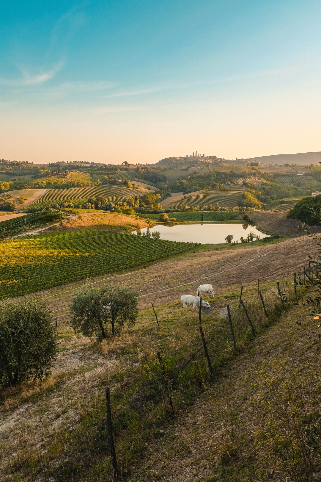 A Taste of Tuscany with Katie Herbek