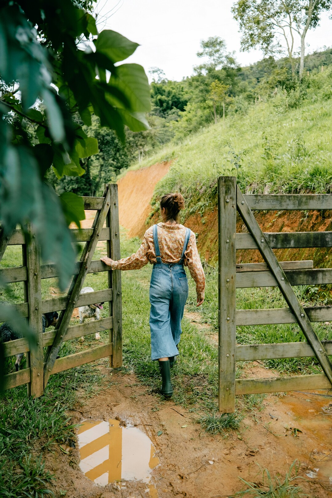 Costa Rica farm - featured