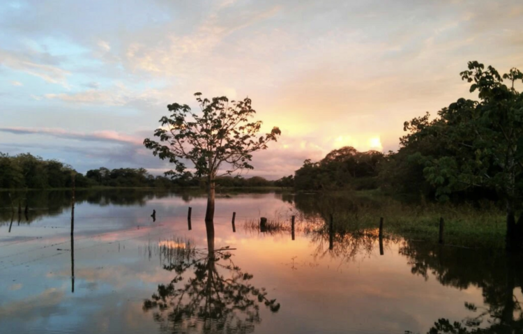 Caño Negro boat safari