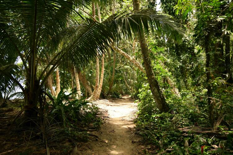 Tortuguero National Park