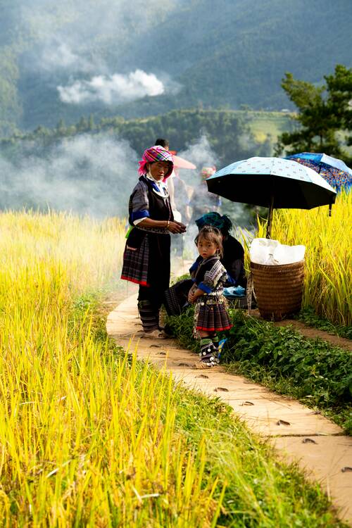 Hmong artisans