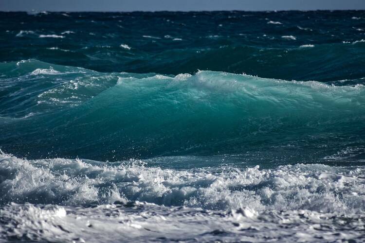 Sayulita Waves