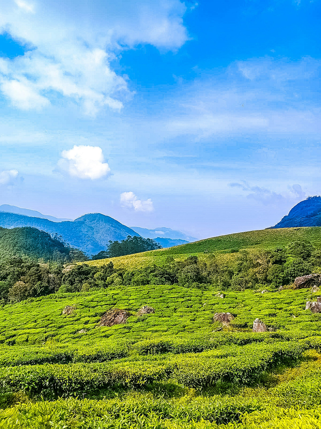 Thekkady / Periyar Kumily, Kerala, India Feature