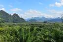 Khao Sok National Park